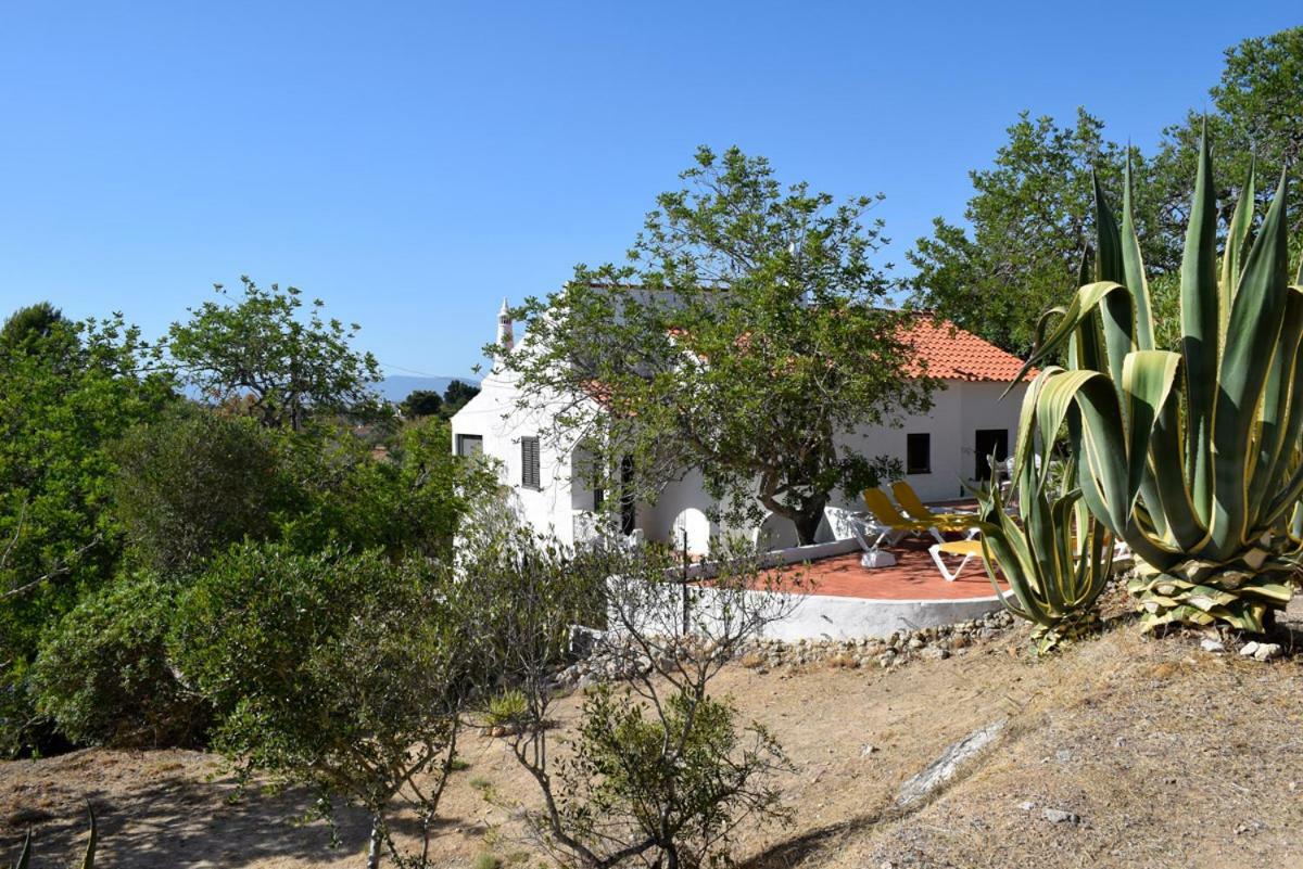 Algarve Casa Alfarrobeira Benagil Caves Private Parking Airco Heated Private Pool - Al Holiday home Carvoeiro (Lagoa)